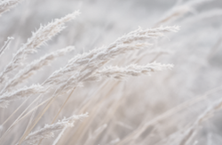 Важные новости для Частных клиентов. Декабрь 2025